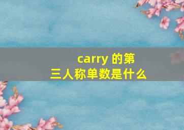 carry 的第三人称单数是什么